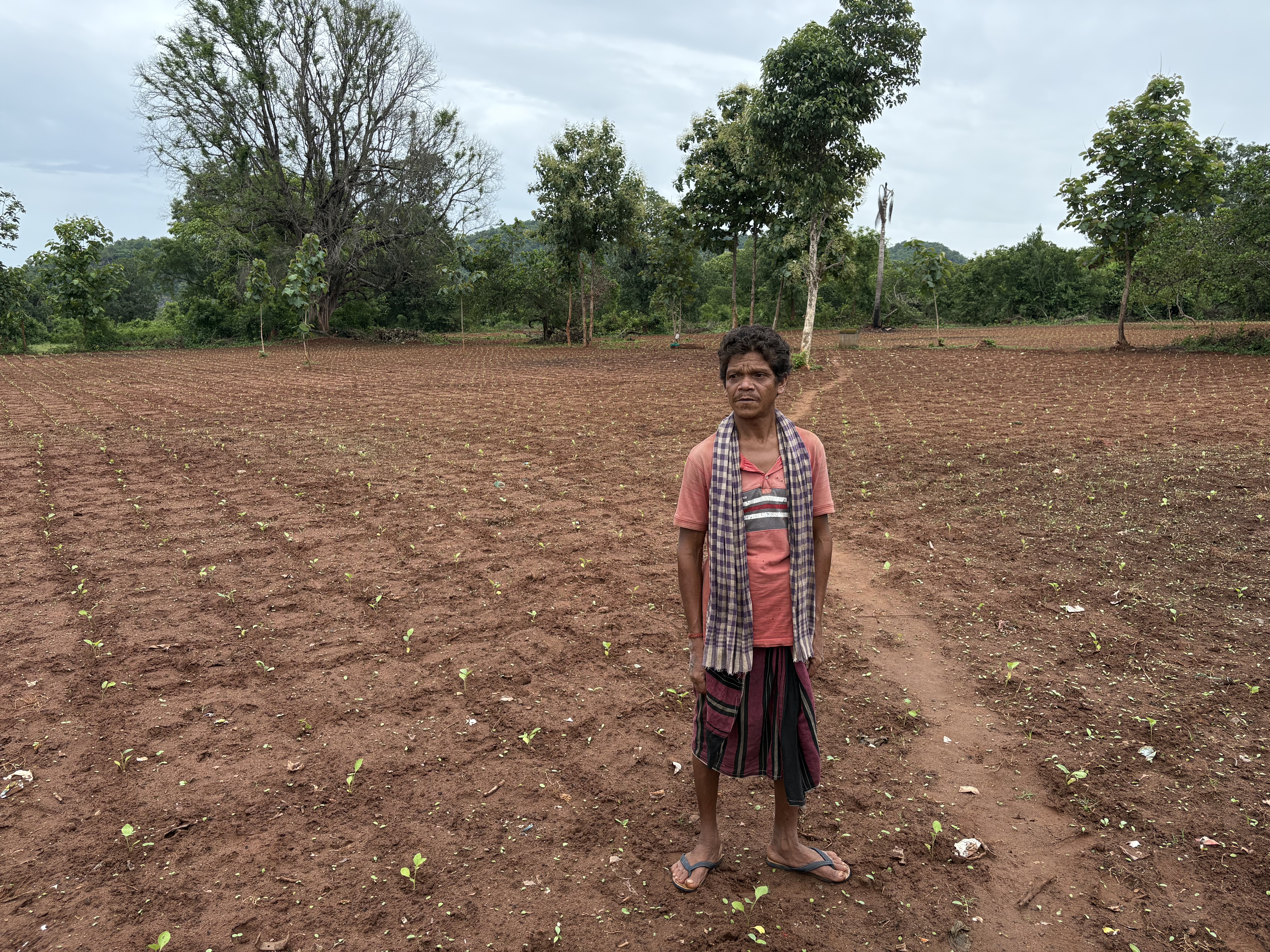 Agroforestry